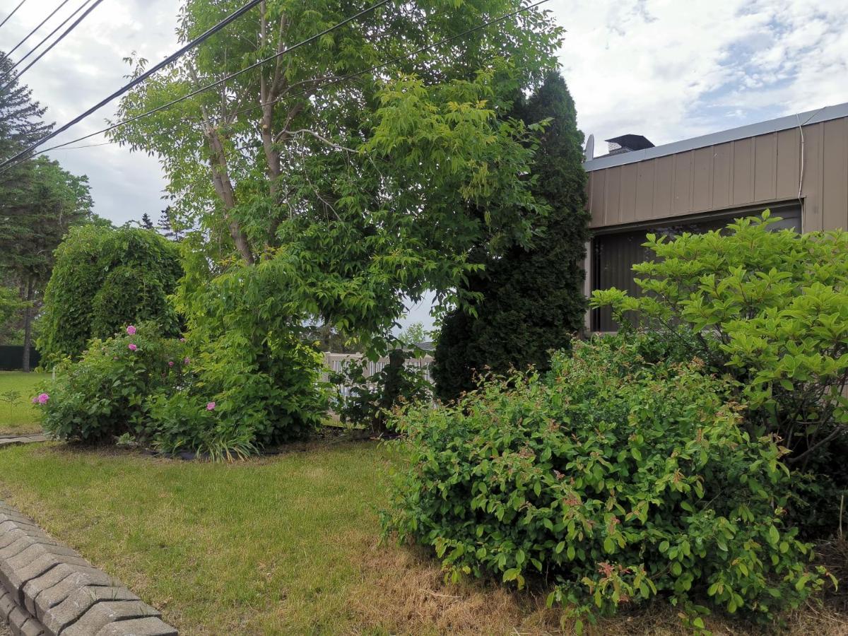 Motel Sainte Catherine Luaran gambar