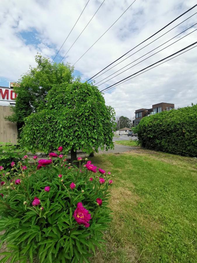 Motel Sainte Catherine Luaran gambar